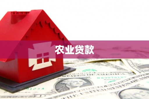 雄安新区农业贷款