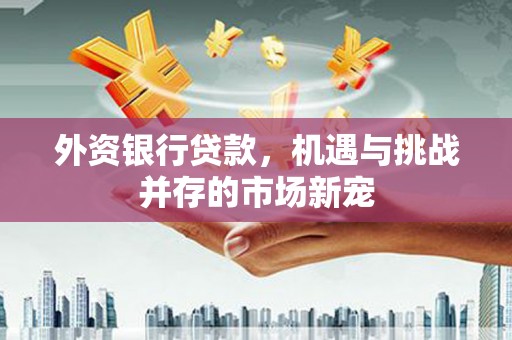 雄安新区外资银行贷款，机遇与挑战并存的市场新宠