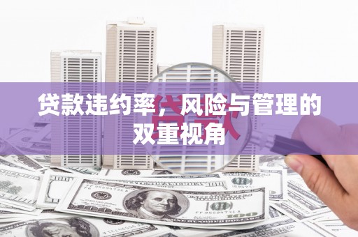 雄安新区贷款违约率，风险与管理的双重视角