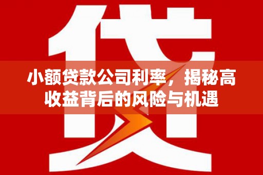 雄安新区小额贷款公司利率，揭秘高收益背后的风险与机遇
