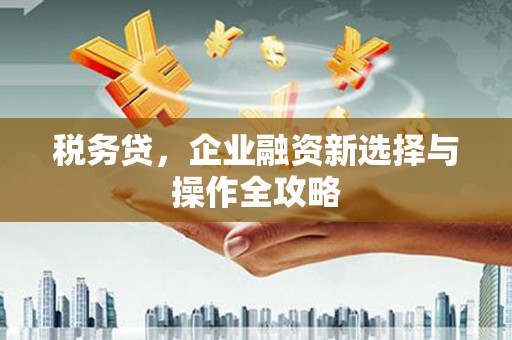 雄安新区税务贷，企业融资新选择与操作全攻略