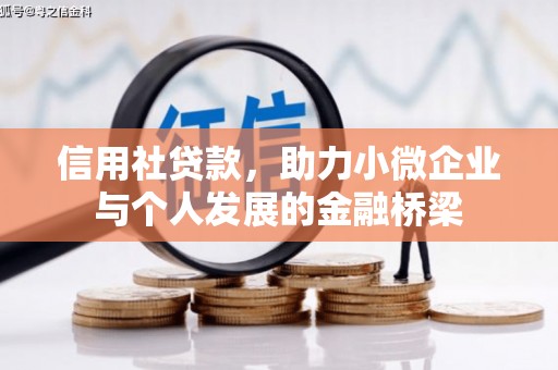 雄安新区信用社贷款，助力小微企业与个人发展的金融桥梁