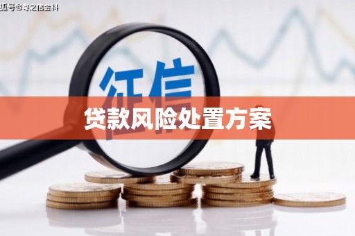 雄安新区贷款风险处置方案