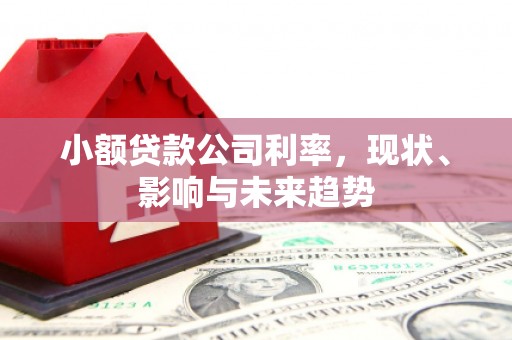 雄安新区小额贷款公司利率，现状、影响与未来趋势
