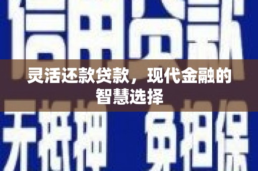 雄安新区灵活还款贷款，现代金融的智慧选择