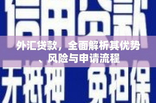 雄安新区外汇贷款，全面解析其优势、风险与申请流程