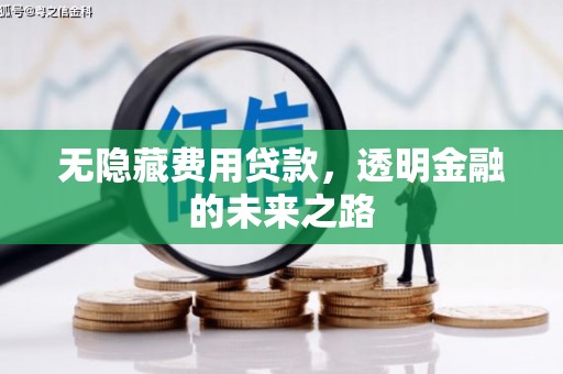 雄安新区无隐藏费用贷款，透明金融的未来之路