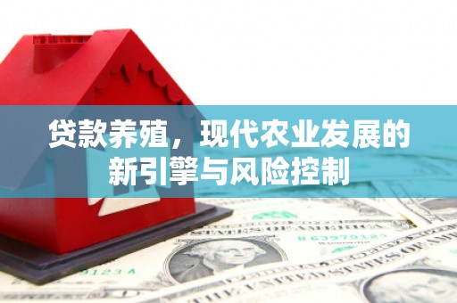 雄安新区贷款养殖，现代农业发展的新引擎与风险控制