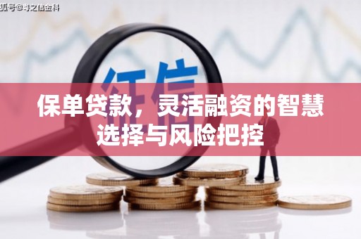 雄安新区保单贷款，灵活融资的智慧选择与风险把控