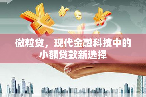 雄安新区微粒贷，现代金融科技中的小额贷款新选择