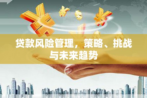 雄安新区贷款风险管理，策略、挑战与未来趋势