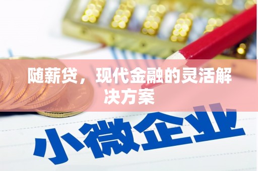 雄安新区随薪贷，现代金融的灵活解决方案