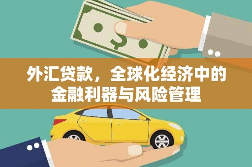 雄安新区外汇贷款，全球化经济中的金融利器与风险管理