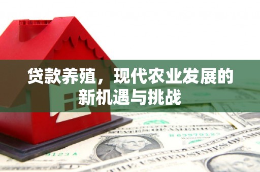 雄安新区贷款养殖，现代农业发展的新机遇与挑战