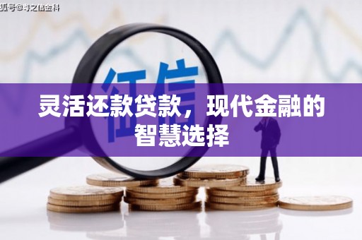 雄安新区灵活还款贷款，现代金融的智慧选择