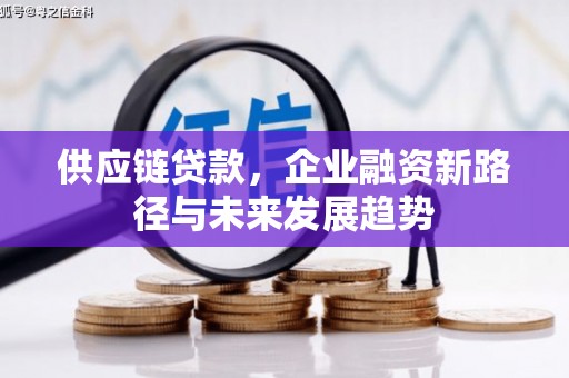 雄安新区供应链贷款，企业融资新路径与未来发展趋势