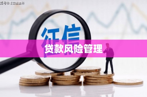 雄安新区贷款风险管理
