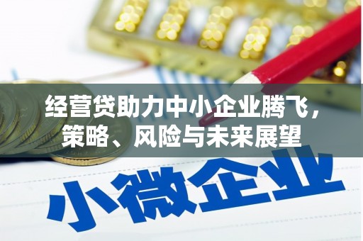 雄安新区经营贷助力中小企业腾飞，策略、风险与未来展望