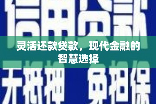 雄安新区灵活还款贷款，现代金融的智慧选择