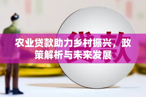 雄安新区农业贷款助力乡村振兴，政策解析与未来发展