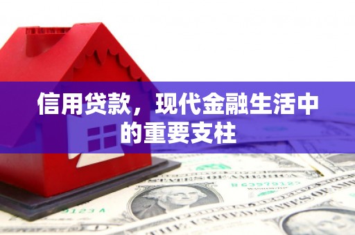 雄安新区信用贷款，现代金融生活中的重要支柱