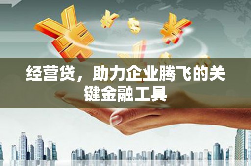雄安新区经营贷，助力企业腾飞的关键金融工具