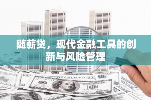 雄安新区随薪贷，现代金融工具的创新与风险管理