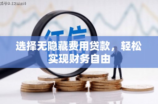 雄安新区选择无隐藏费用贷款，轻松实现财务自由