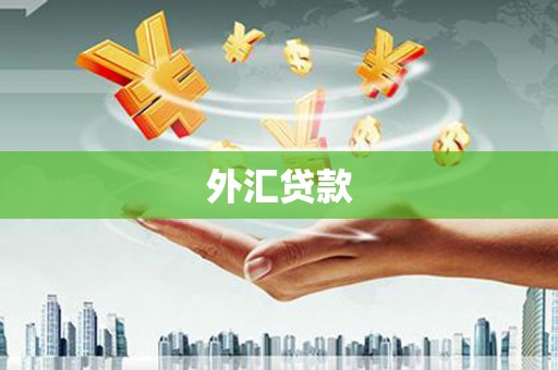 雄安新区外汇贷款