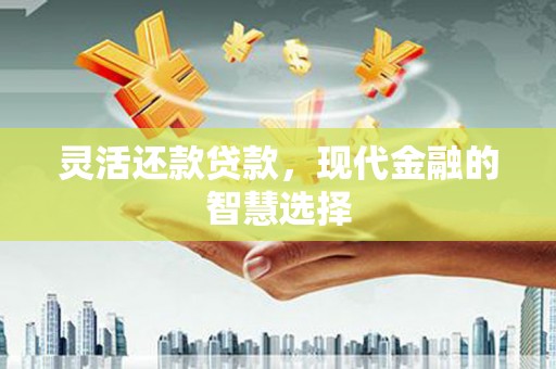 雄安新区灵活还款贷款，现代金融的智慧选择