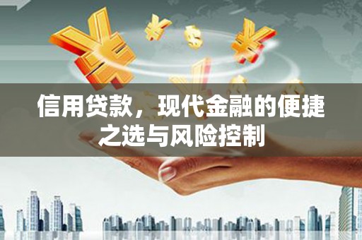 雄安新区信用贷款，现代金融的便捷之选与风险控制