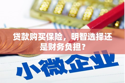 雄安新区贷款购买保险，明智选择还是财务负担？