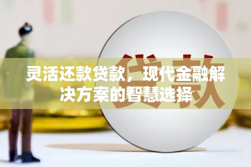 雄安新区灵活还款贷款，现代金融解决方案的智慧选择