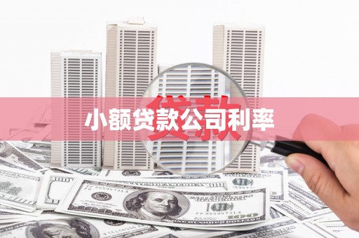 雄安新区小额贷款公司利率