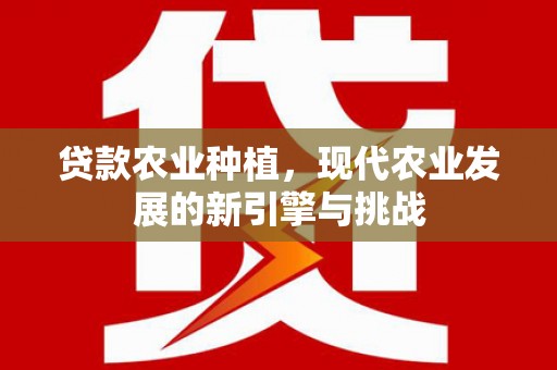 雄安新区贷款农业种植，现代农业发展的新引擎与挑战
