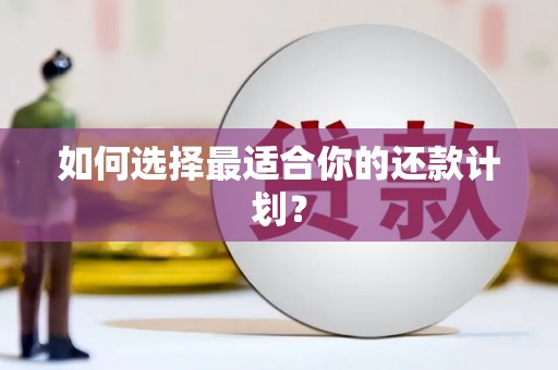 雄安新区如何选择最适合你的还款计划？
