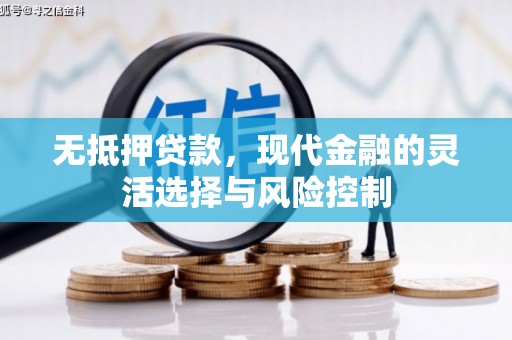 雄安新区无抵押贷款，现代金融的灵活选择与风险控制
