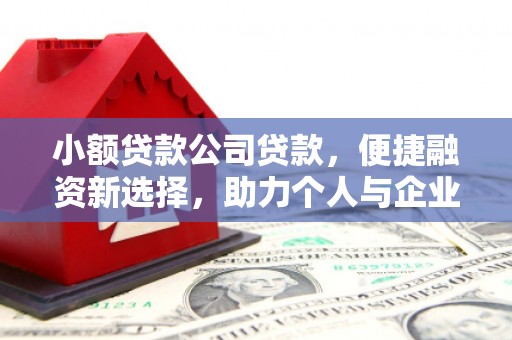 雄安新区小额贷款公司贷款，便捷融资新选择，助力个人与企业成长