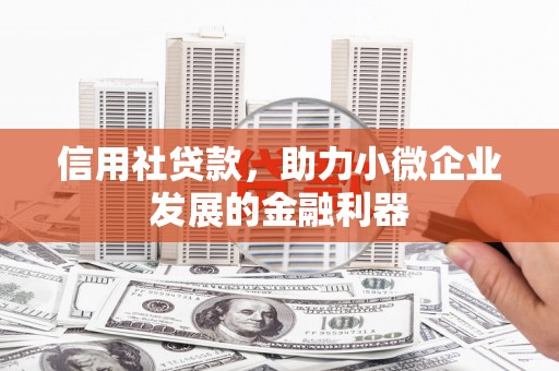 雄安新区信用社贷款，助力小微企业发展的金融利器