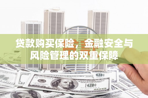 雄安新区贷款购买保险，金融安全与风险管理的双重保障