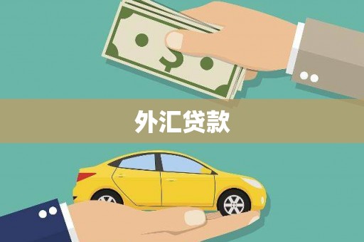 雄安新区外汇贷款