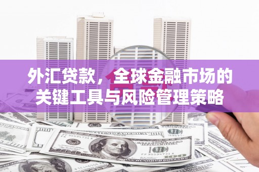 雄安新区外汇贷款，全球金融市场的关键工具与风险管理策略