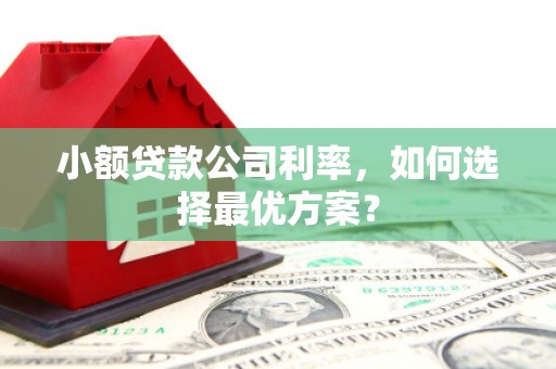 雄安新区小额贷款公司利率，如何选择最优方案？