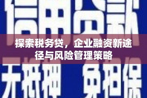 雄安新区探索税务贷，企业融资新途径与风险管理策略