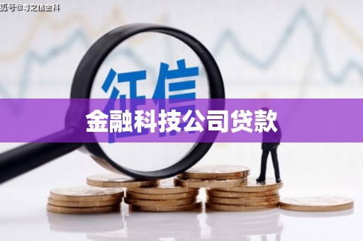 雄安新区金融科技公司贷款