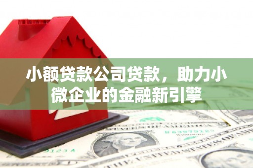 雄安新区小额贷款公司贷款，助力小微企业的金融新引擎