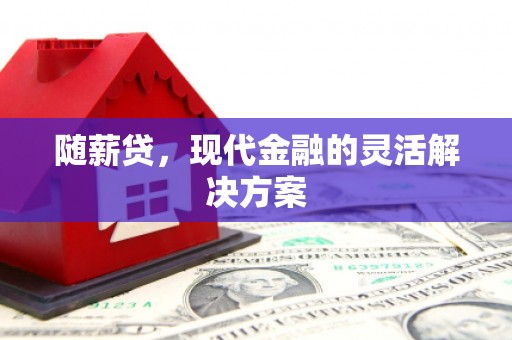 雄安新区随薪贷，现代金融的灵活解决方案