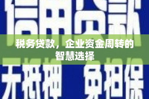 雄安新区税务贷款，企业资金周转的智慧选择