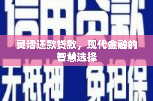 雄安新区灵活还款贷款，现代金融的智慧选择