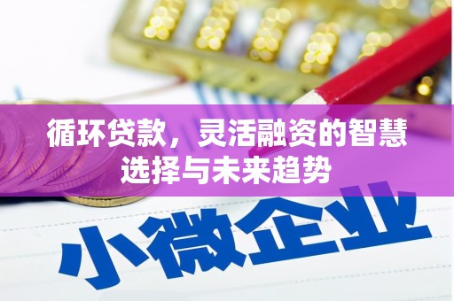 雄安新区循环贷款，灵活融资的智慧选择与未来趋势